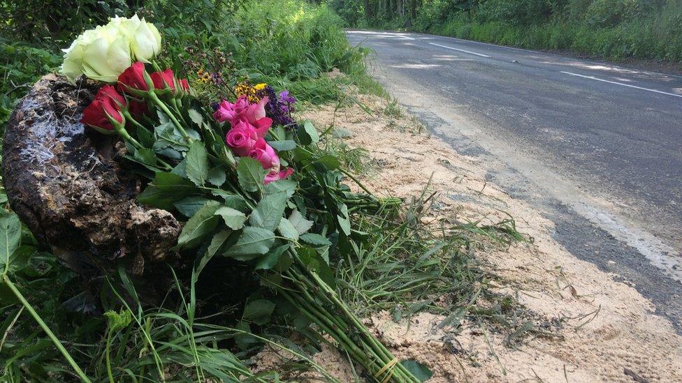 Flowers on the roadside