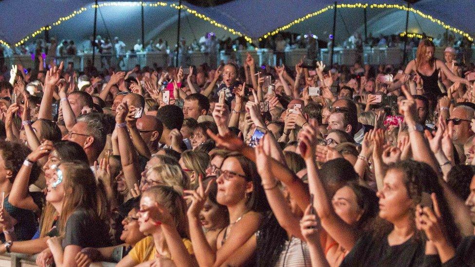 Crowds at a concert