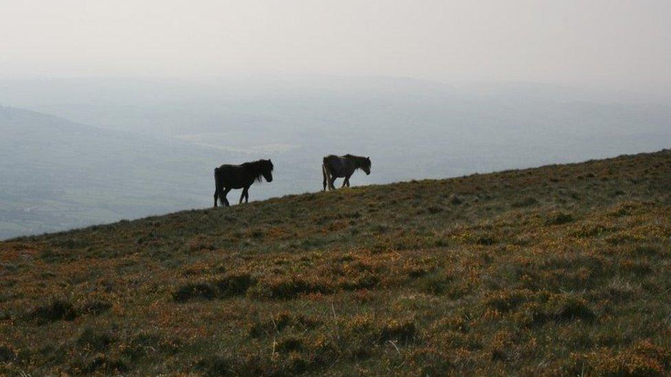 Brecon Beacons