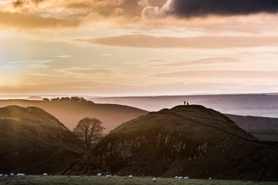 Two people stand on a hill next to a tree in between two hills on Hadrian's Wall