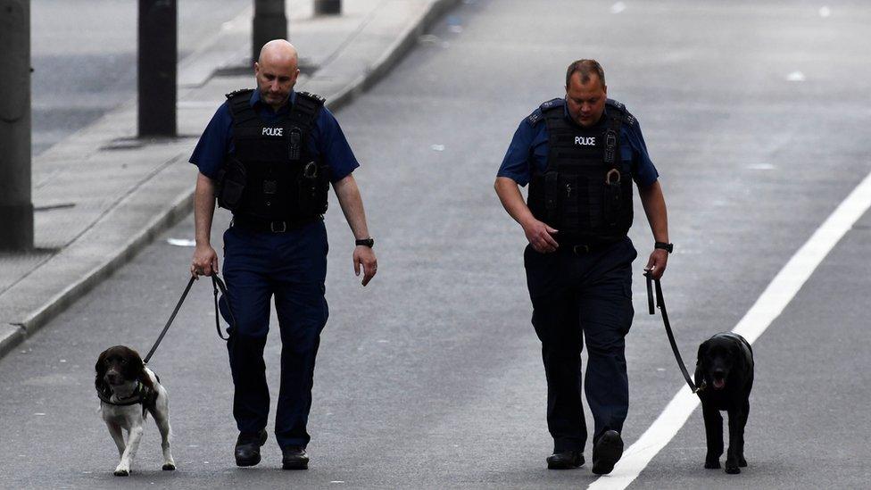 Police dog-handlers at work