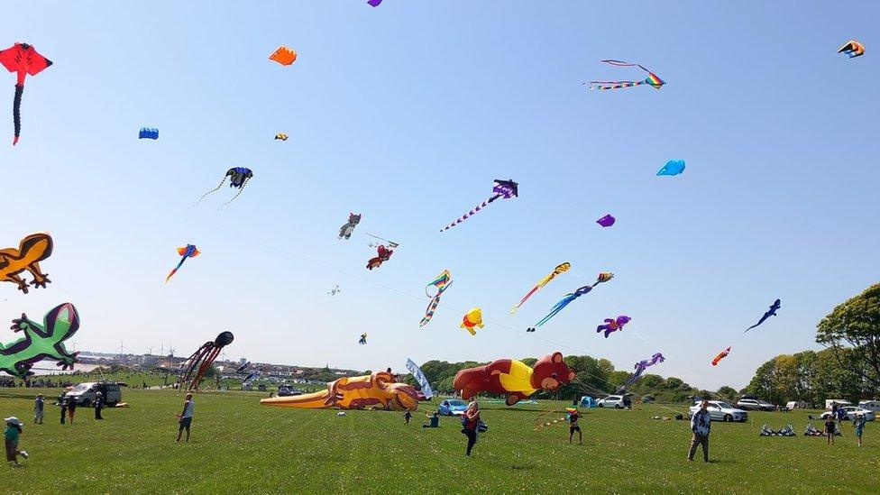 Kites in the sky