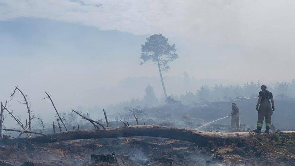 Wareham Forest Fire