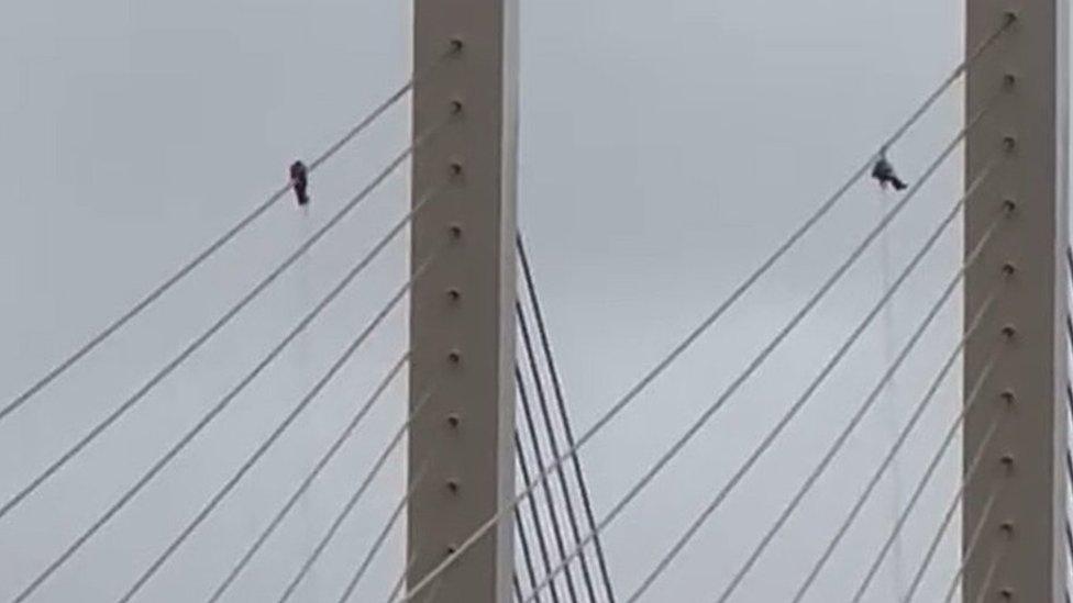 Two Just Stop Oil protesters up the Queen Elizabeth II Bridge near Dartford