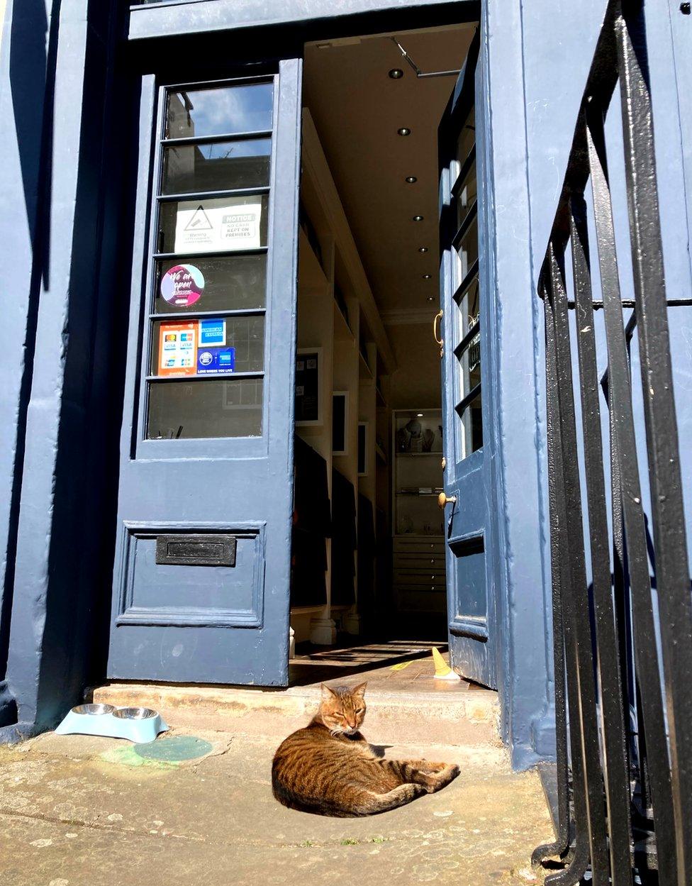 Hugo curled up on the step of one of his favourite stores on William Street with a bowl of water