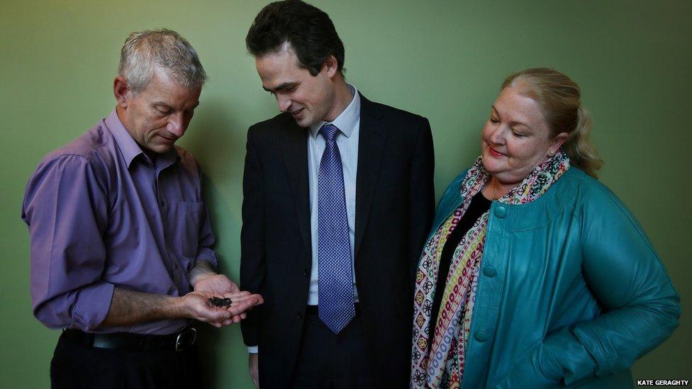 Australian Agriculture Department staff Mark Whattam (left), Darryl Barbour and Nicola Hinder look at sunflower seeds germinated from the Ukraine crash site of flight MH17