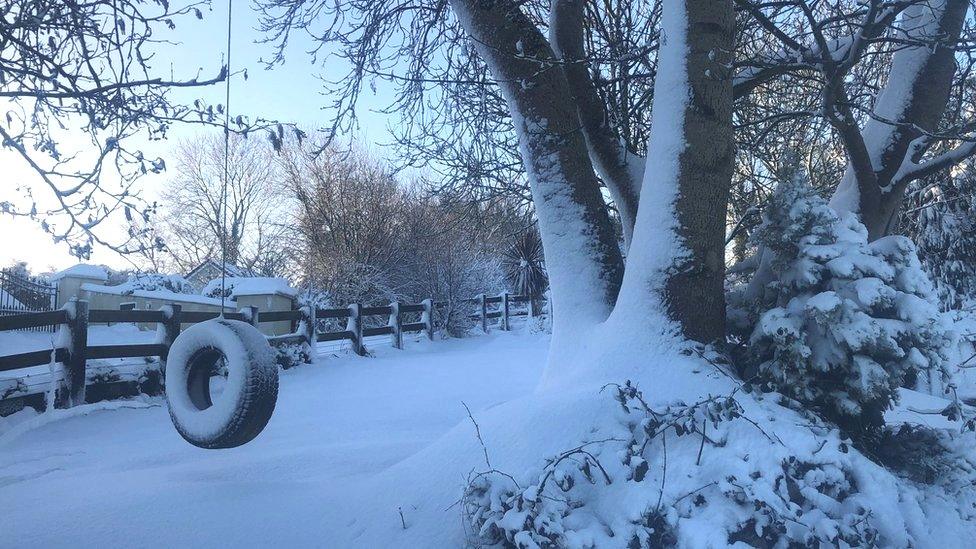 Snow covered garden and tyre swing