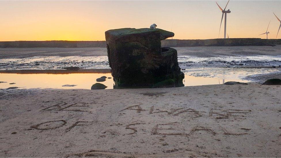 The seal atop a pillbox