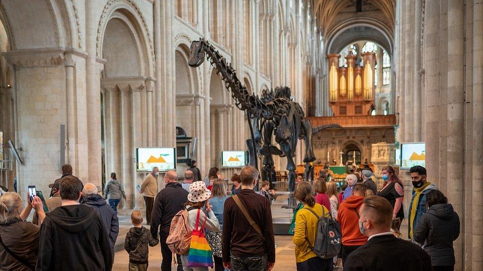 Dippy at Norwich Cathedral