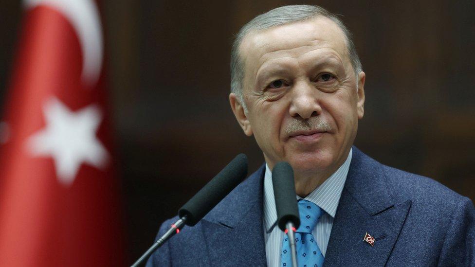 President Recep Tayyip Erdogan of Turkey