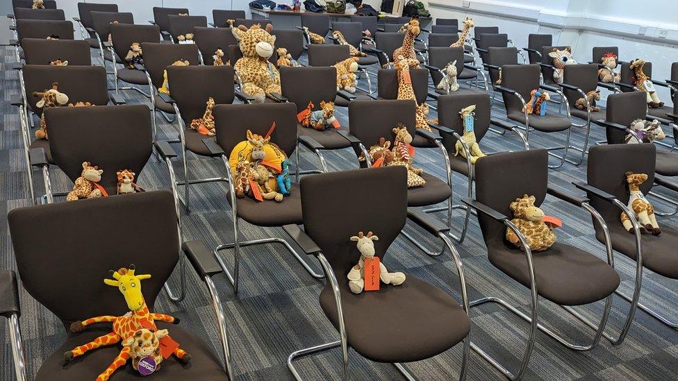 Giraffes waiting to go on plane