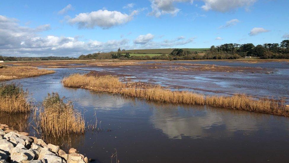 Otter Estuary Nature Reserve