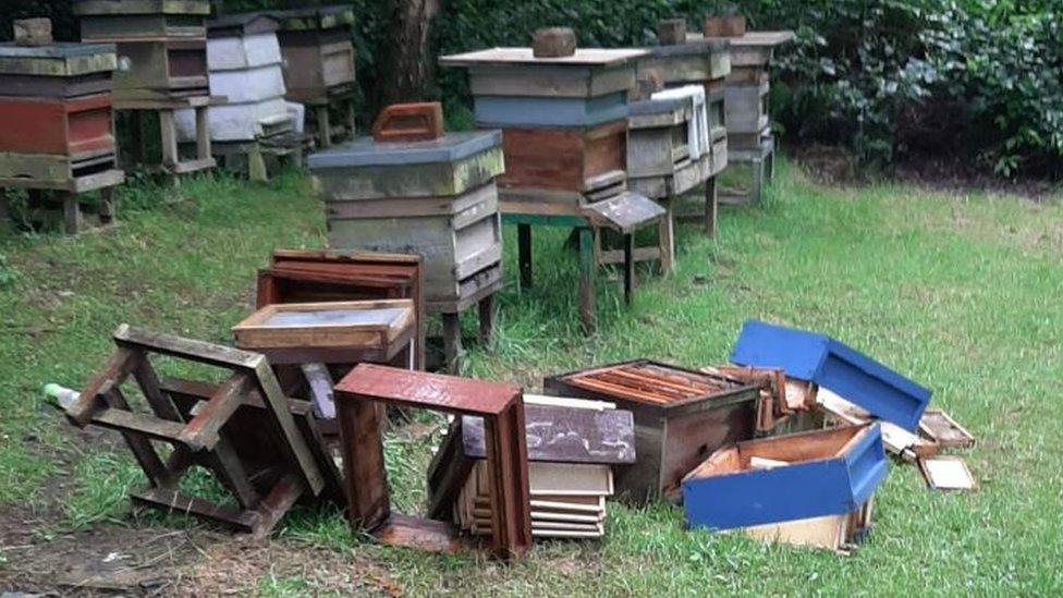 Vandalised beehives