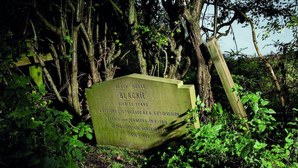 Grave for 'Blackie' the war horse