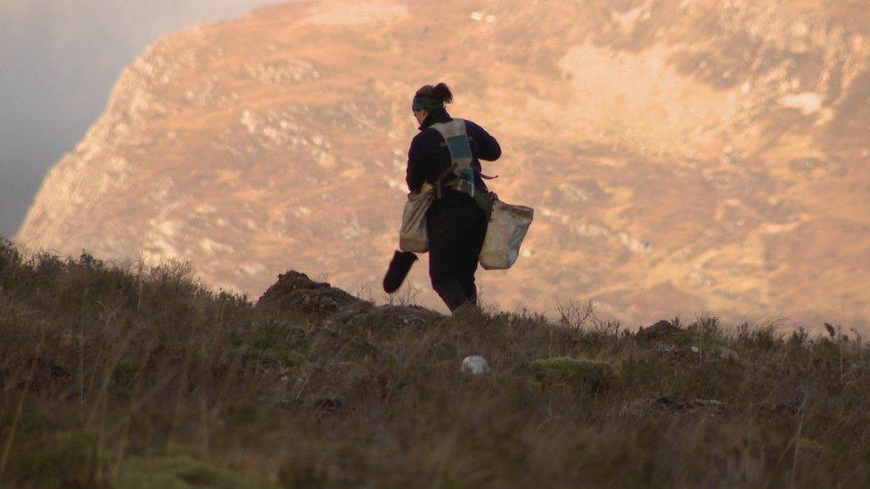 Tree planting at Beinn Eighe