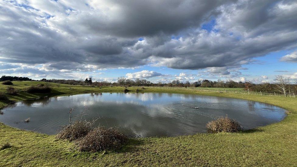 WEDNESDAY - Greenham Common