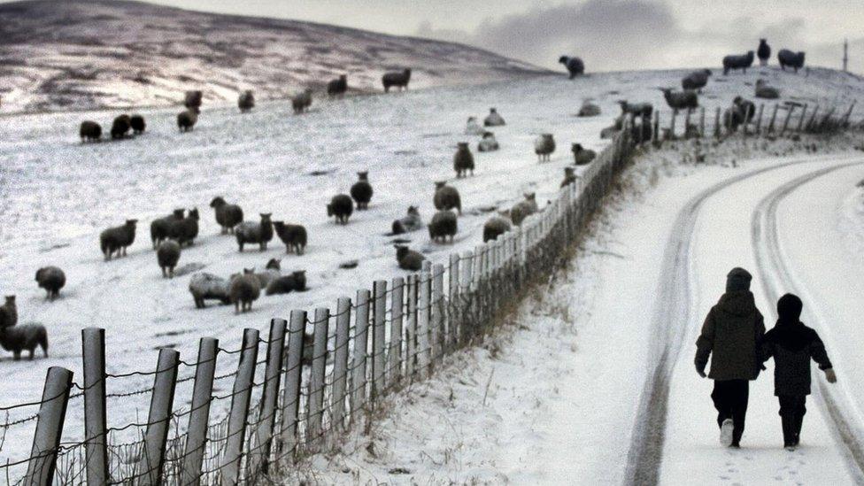 Kids on snowy road