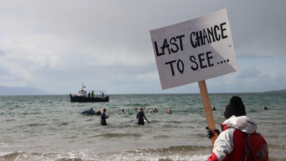 Gairloch protest