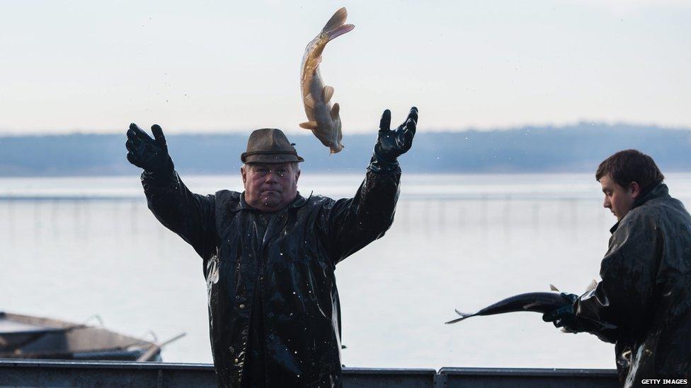 A carp fisherman in Poland