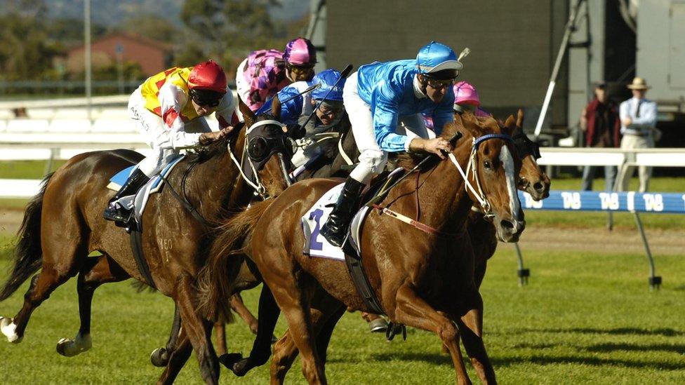 Horse race at Morphettville, Adelaide. File photo