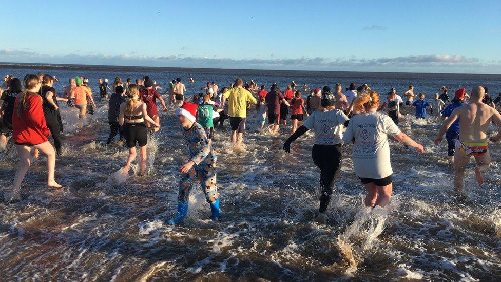 Dippers in the sea