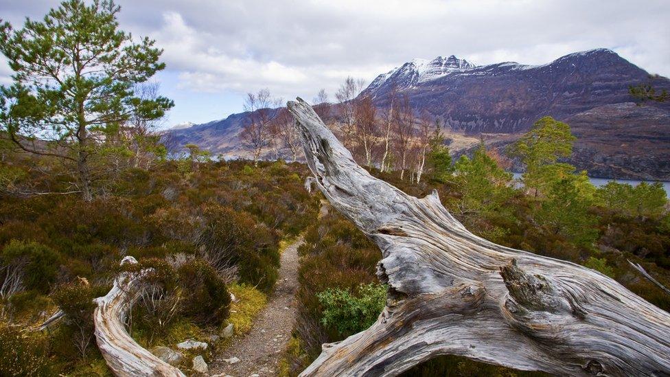Beinn Eighe