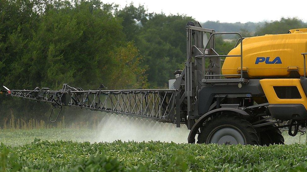 A soybean field is fumigated near Urdinarrain, Entre Rios province, Argentina, on February 8, 2018