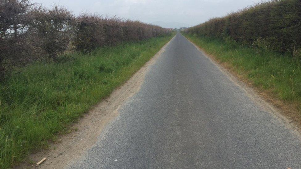 Moth expert Andrew Crory said the millions of larvae had the capacity to destroy large sections of a roadside ditch