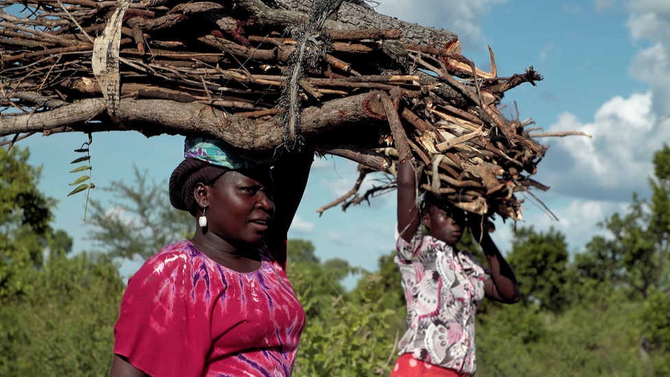 Refugees in Uganda carrying wood