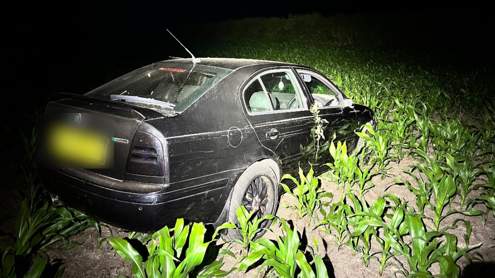 Car in field