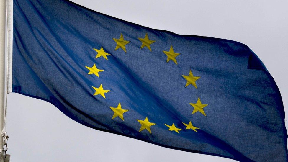 The EU flag