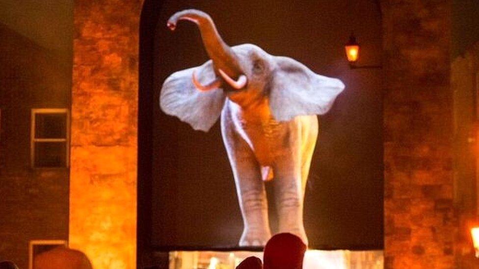 Elephantastic by Catherine Garret/Top’lá Design