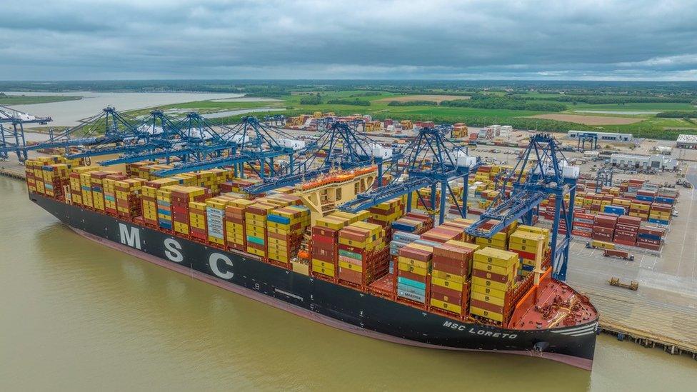 MSC Loreto at Felixstowe