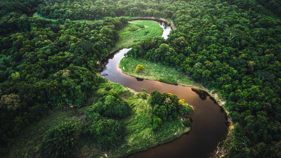 Amazon-river.