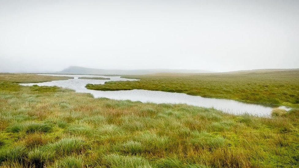 Swarth Fell Tarn