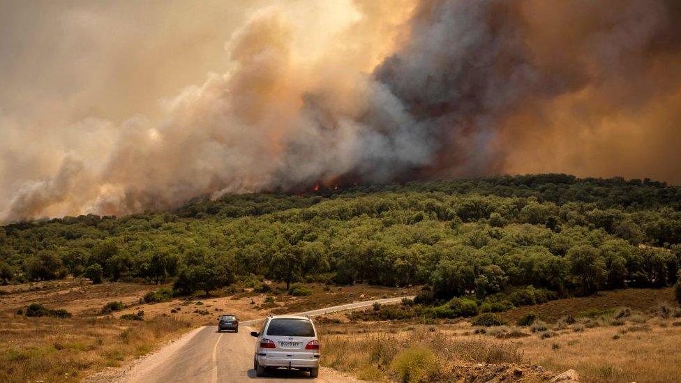 Cars driving on road next to plumes of smoke