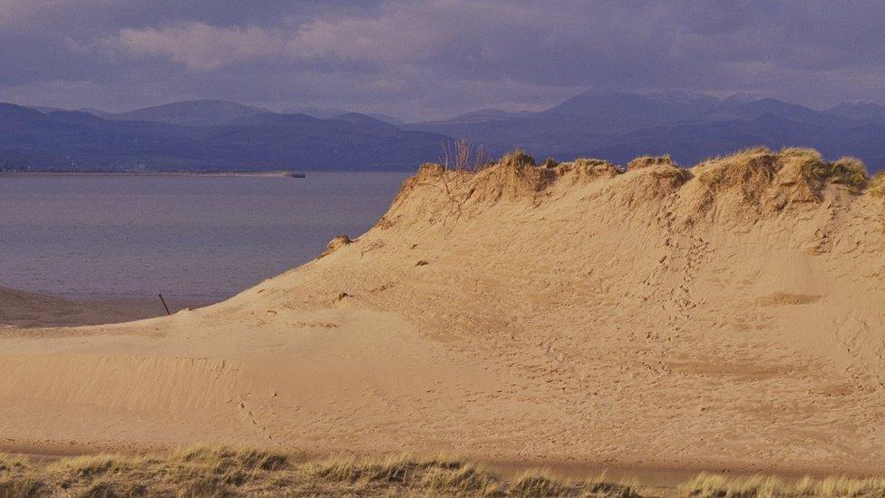 Sand dunes