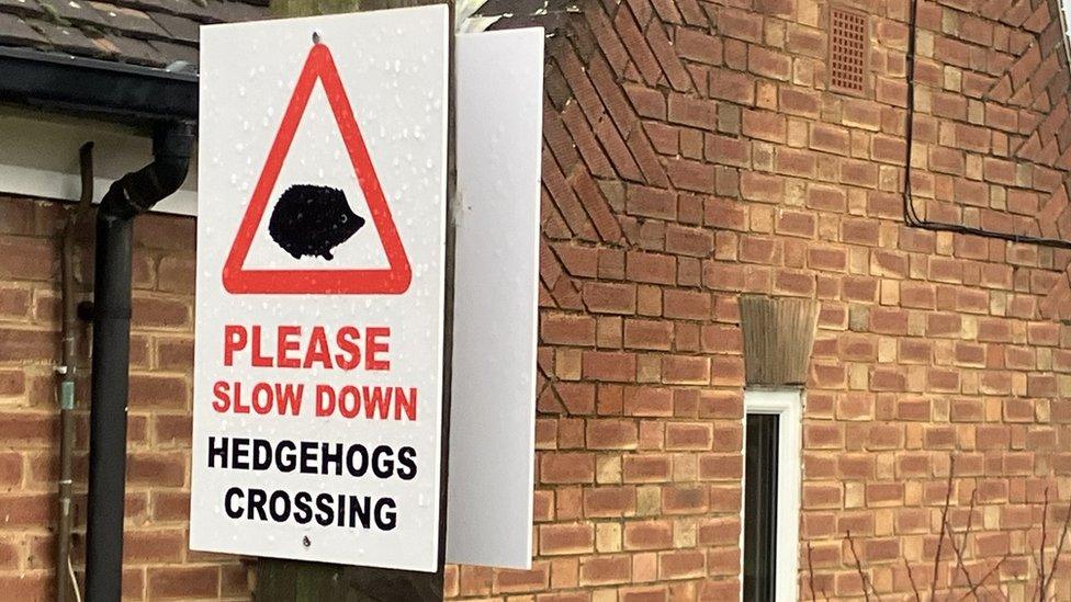 hedgehog crossing sign