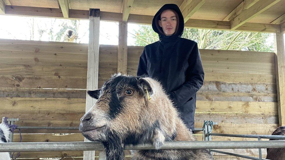 Harry and goat