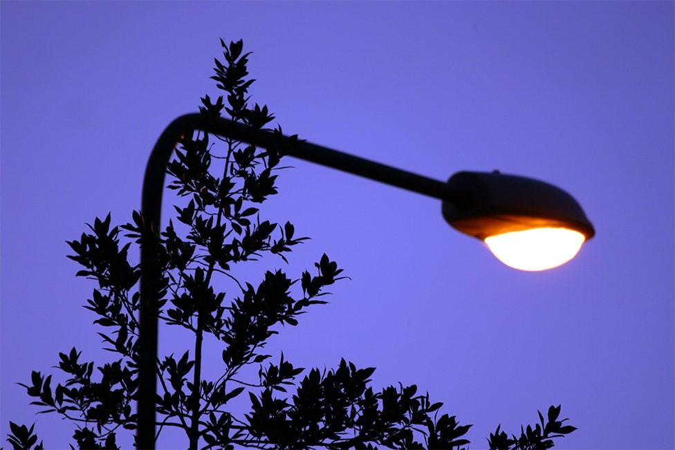 Street light at dusk