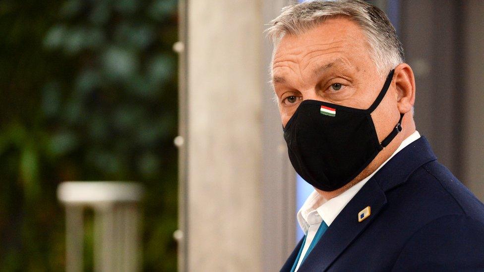 Image shows Prime Minister Viktor Orban