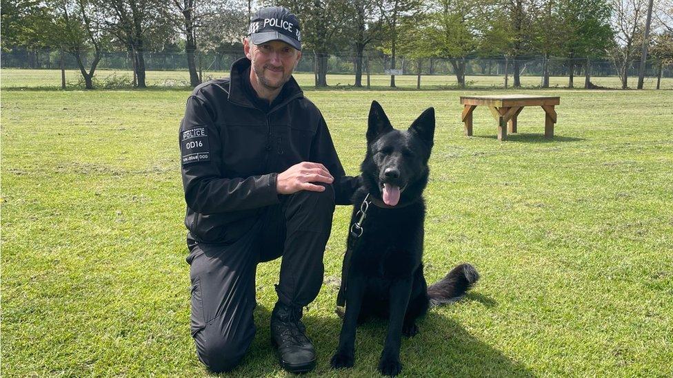 PD Boris, a black German Shepherd, with his handler PC Jamie Ward