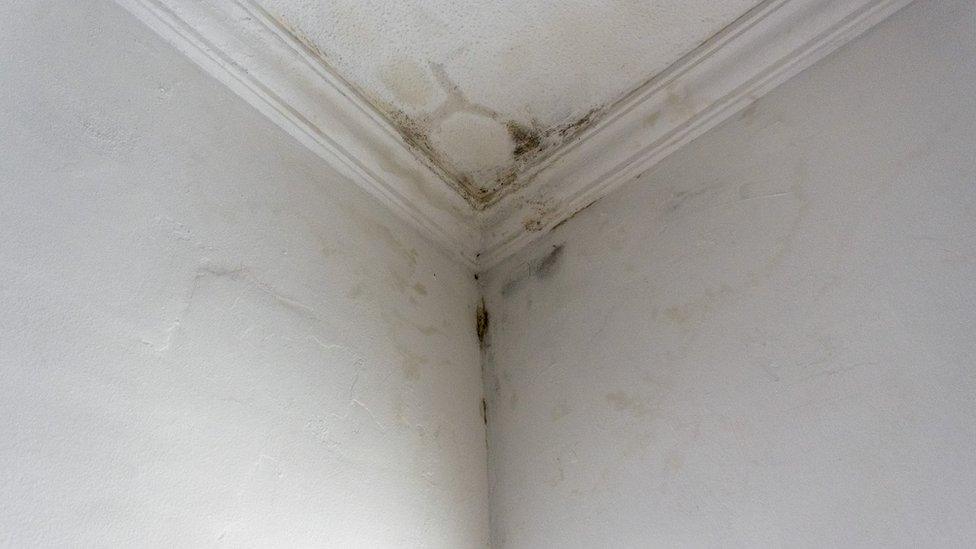 A damp patch on a ceiling