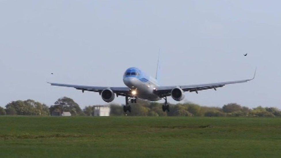 A plane lands at Cardiff airport