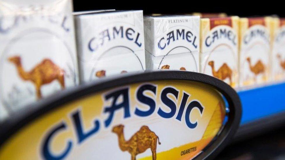 Camel cigarettes