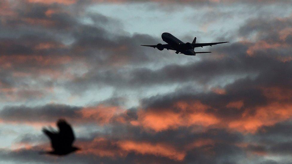 A bird passes in the foreground as a passenger aircraft makes it"s final landing approach towards Heathrow Airport at dawn in west London Britain, April 18, 2016