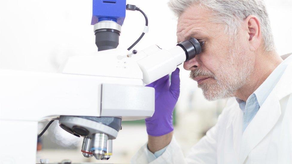 Scientist looking through microscope