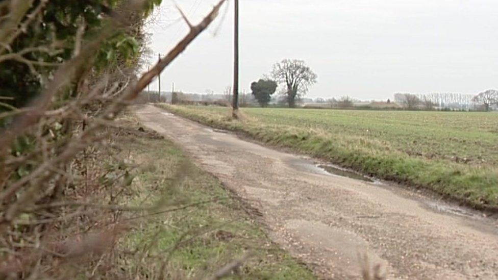 Lane at Spratts Green, near Aylsham