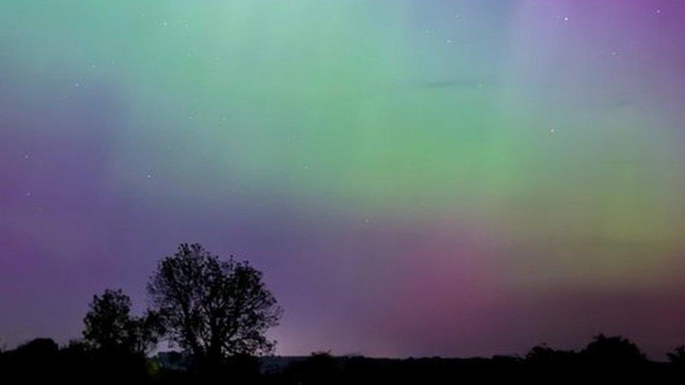 Rays of purple, blue and green shining down over trees in Kent