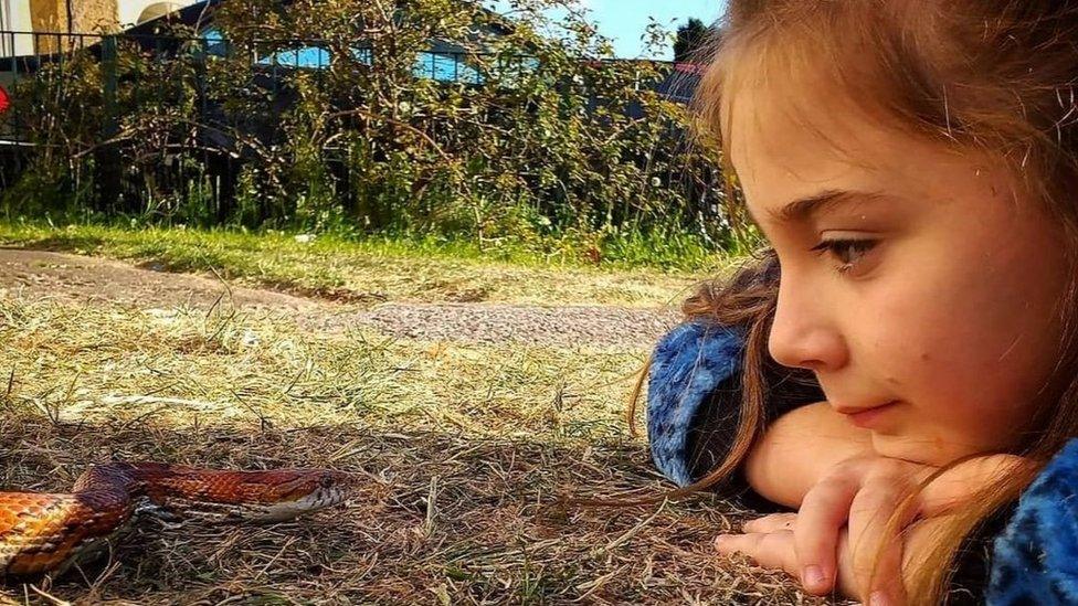 hollie-with-corn-snake-in-the-grass